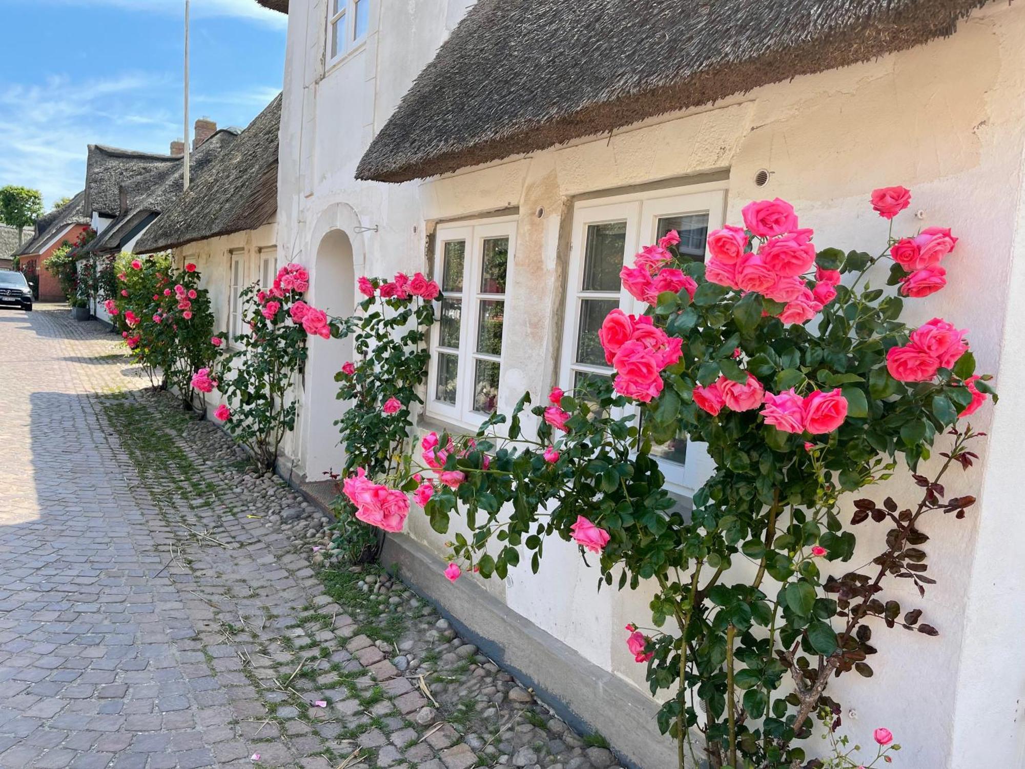 Kapitaenshaus Von 1712 - Neu Saniert Apartment Nieblum Exterior foto